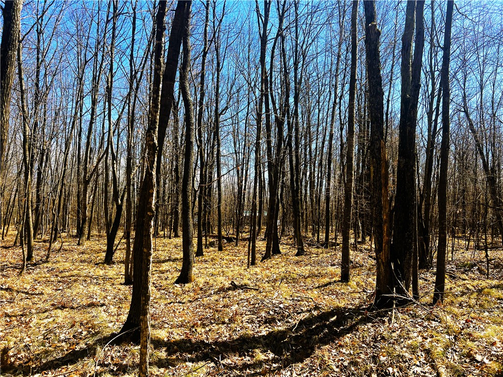 W9231 Broken Arrow Road Conrath WI 54731 1581072 image1