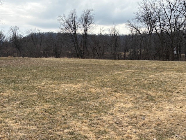 W9295 County Hwy Ss Pepin WI 54759 1598988 image4