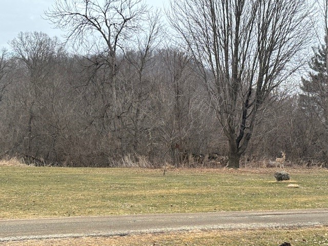 W9295 County Hwy Ss Pepin WI 54759 1598988 image5