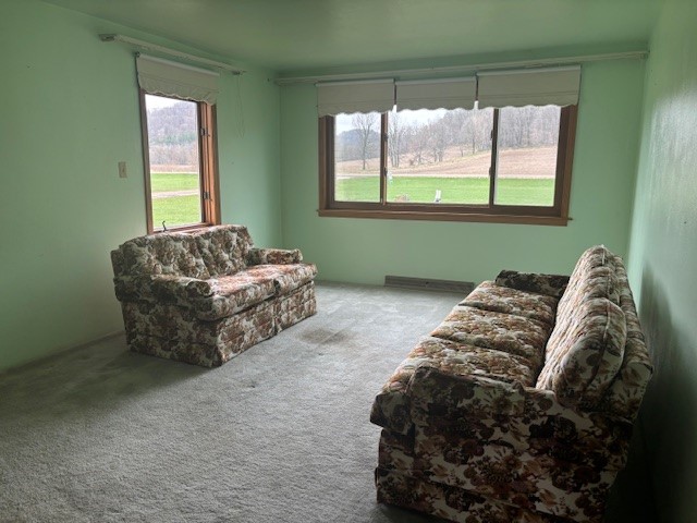 W9295 County Hwy Ss Pepin WI 54759 1598988 image6