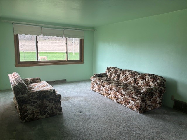 W9295 County Hwy Ss Pepin WI 54759 1598988 image7