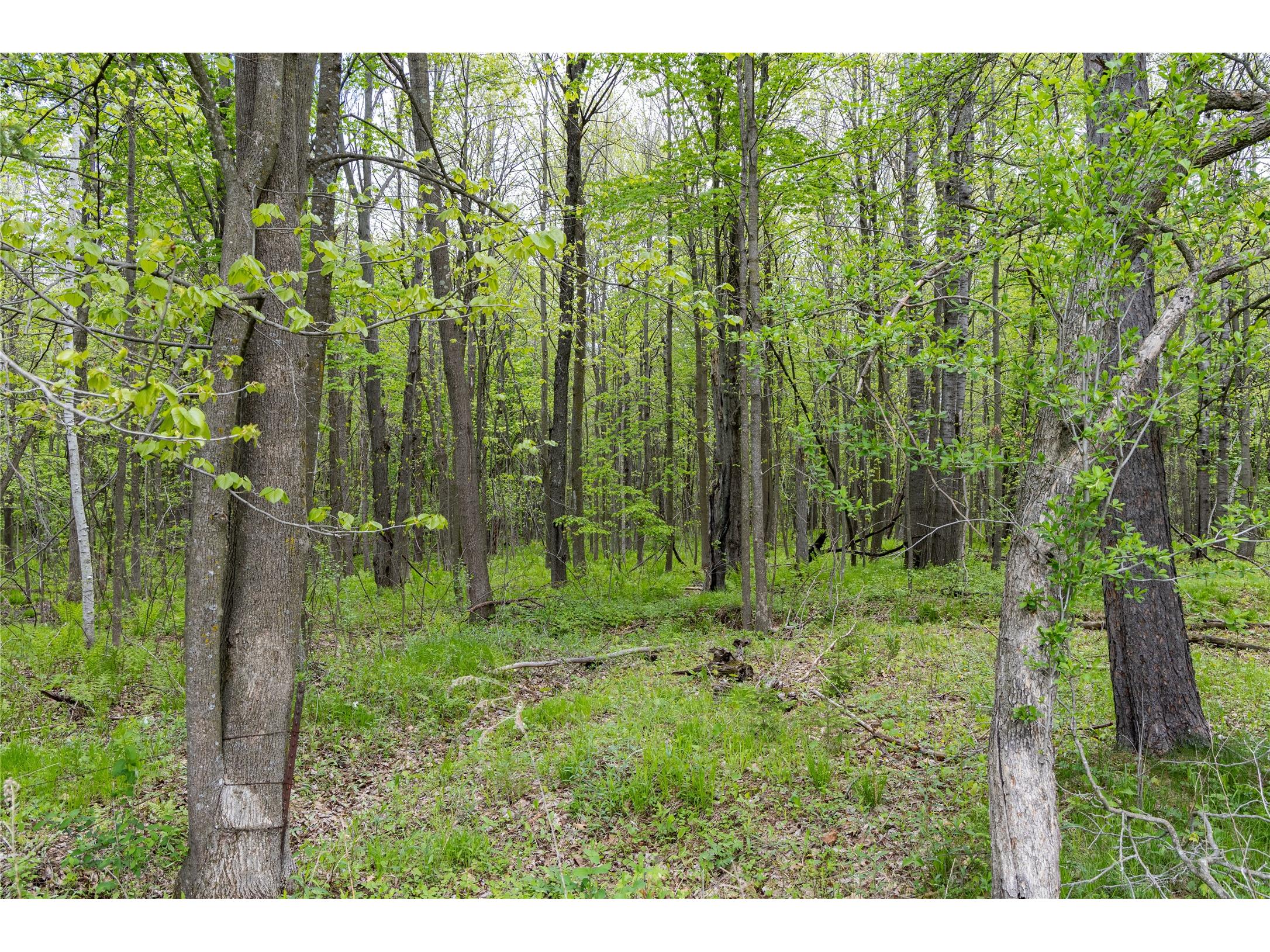 W9756 101 Trail Ladysmith WI 54848 1601381 image17
