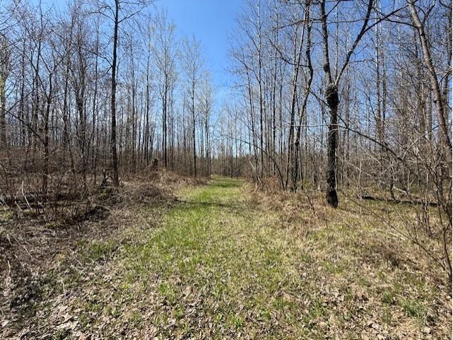 W9793 Dankes Road Phillips WI 54843 1600872 image1