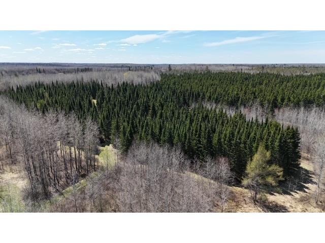W9793 Dankes Road Phillips WI 54843 1600872 image14