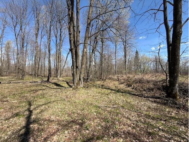 W9793 Dankes Road Phillips WI 54843 1600872 image4