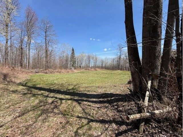 W9793 Dankes Road Phillips WI 54843 1600872 image8