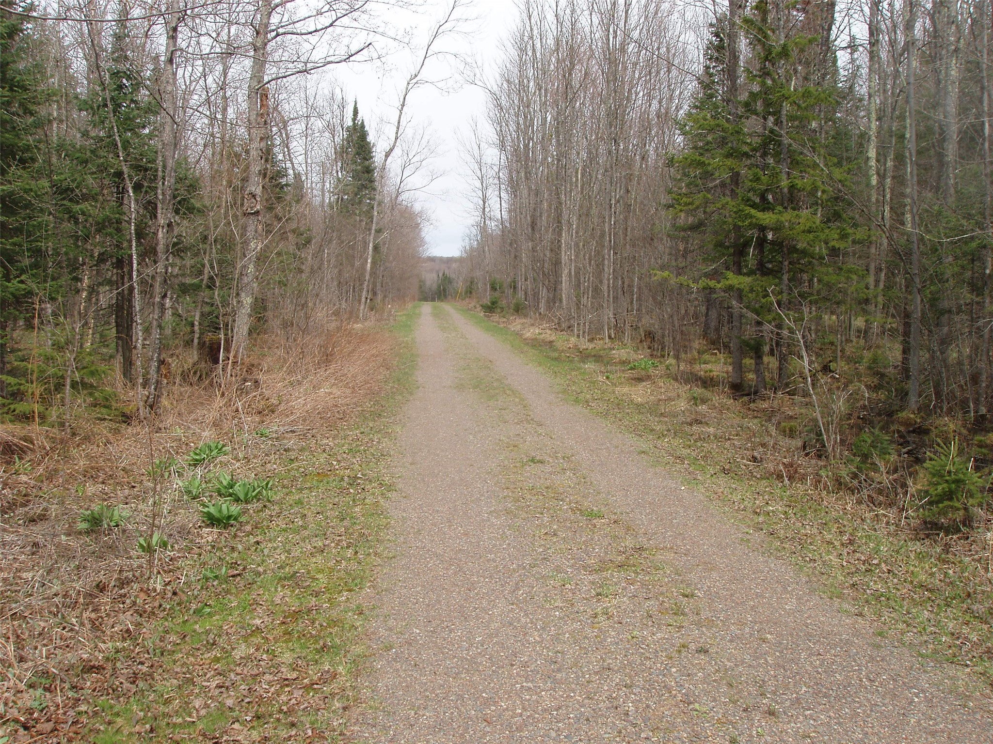 W9798 Fleming Road Park Falls WI 54552 - Butternut Creek 1600486 image11