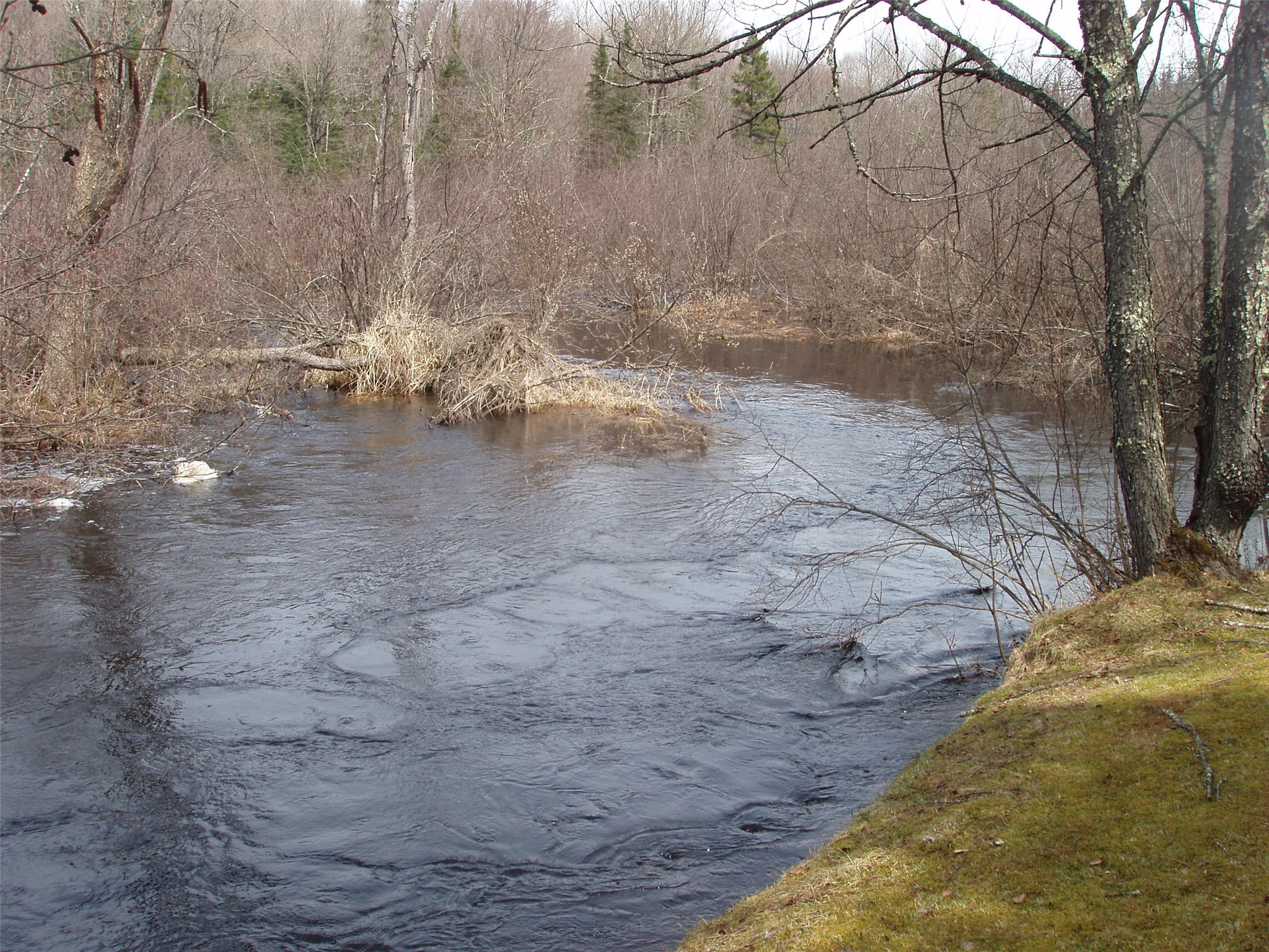 W9798 Fleming Road Park Falls WI 54552 - Butternut Creek 1600486 image46