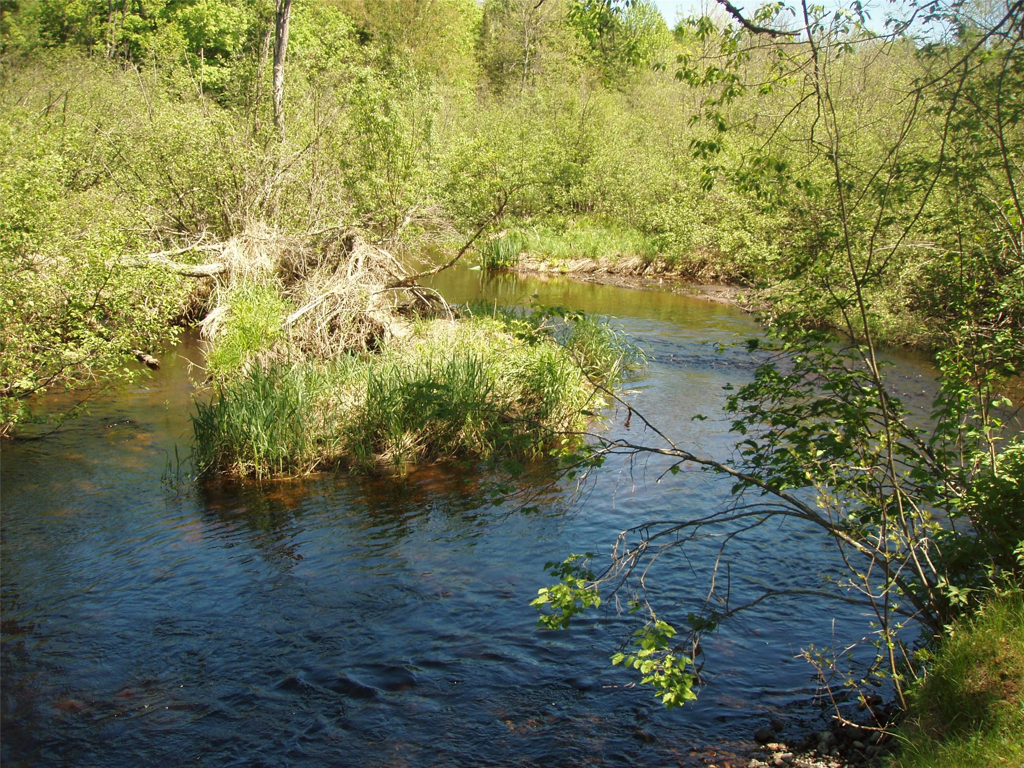 W9798 Fleming Road Park Falls WI 54552 - Butternut Creek 1600486 image52