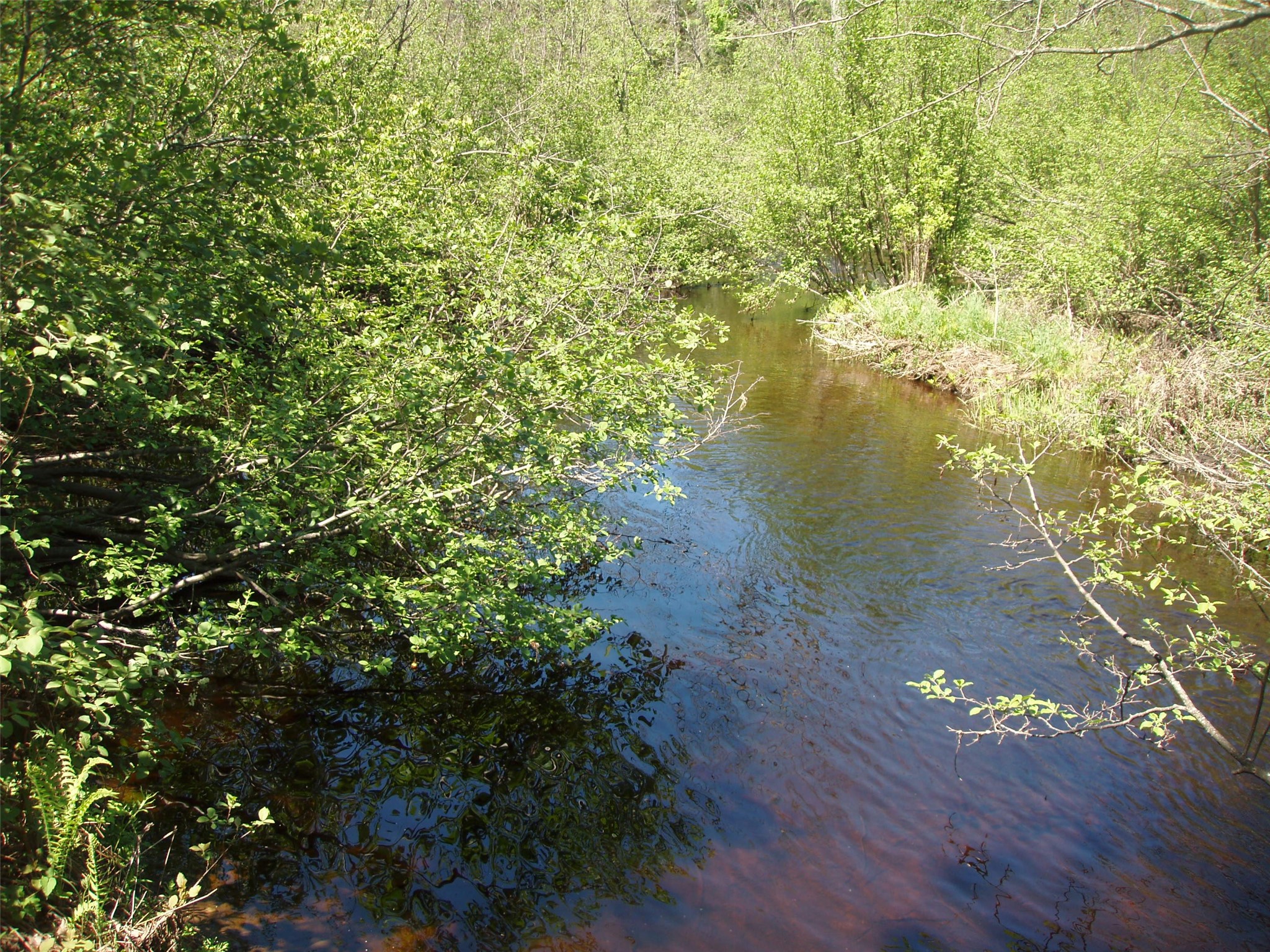 W9798 Fleming Road Park Falls WI 54552 - Butternut Creek 1600486 image53