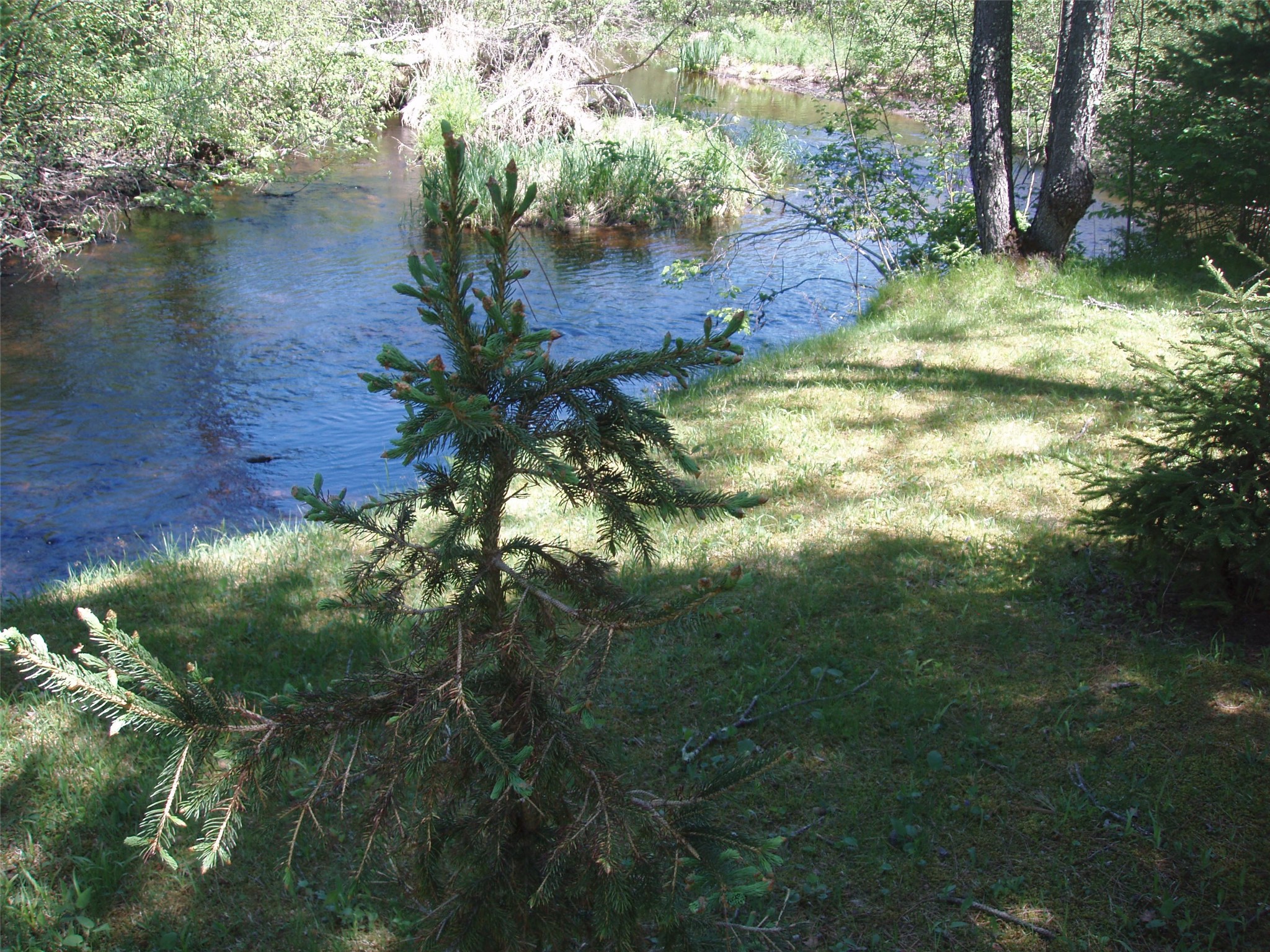 W9798 Fleming Road Park Falls WI 54552 - Butternut Creek 1600486 image54