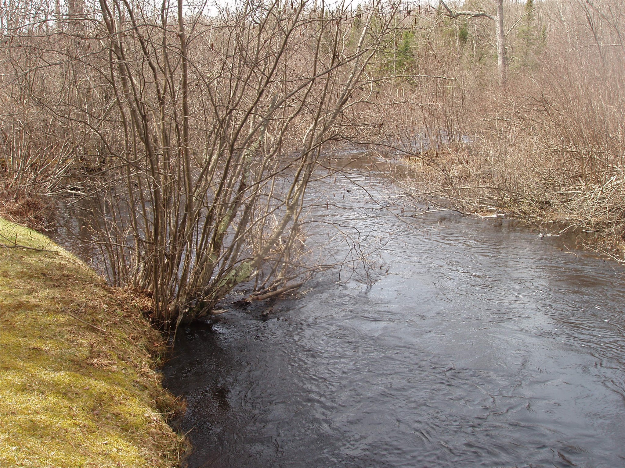 W9798 Fleming Road Park Falls WI 54552 - Butternut Creek 1600486 image8