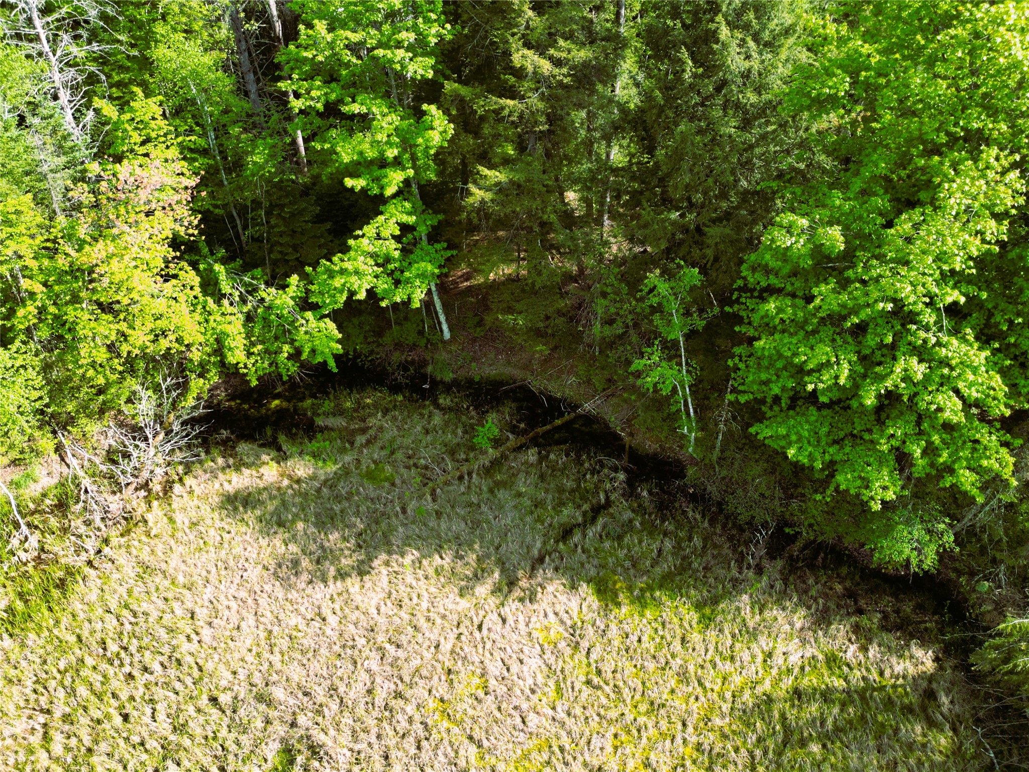 W9902 Flohr Road Ladysmith WI 54848 1601560 image41