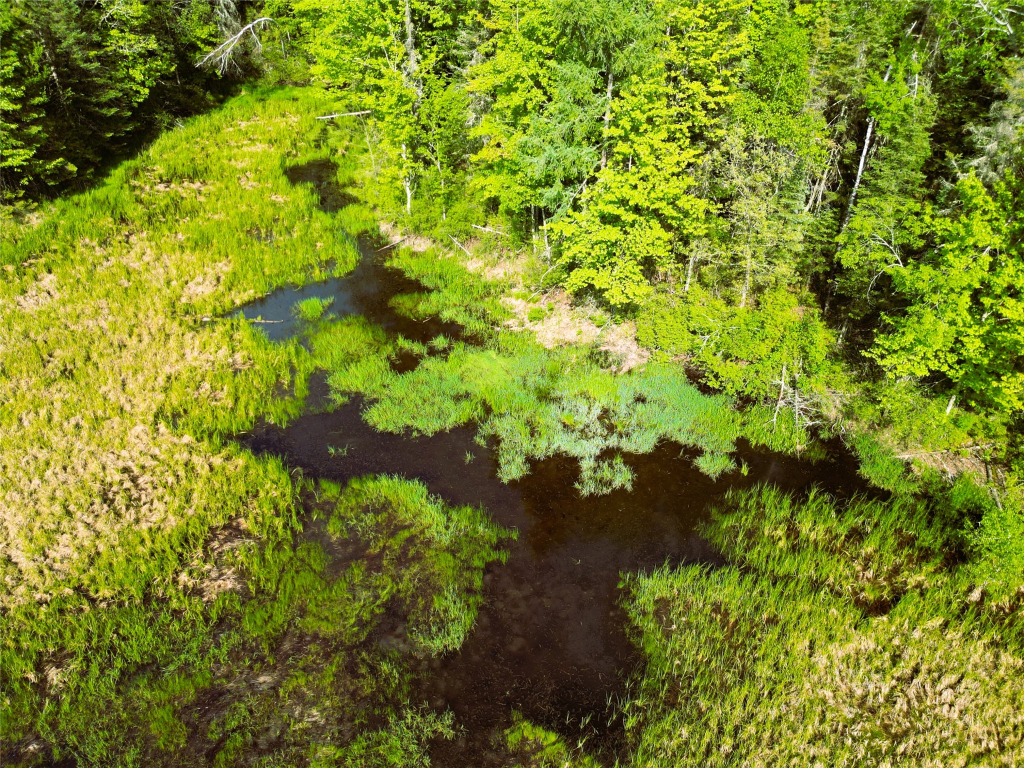 W9902 Flohr Road Ladysmith WI 54848 1601560 image42