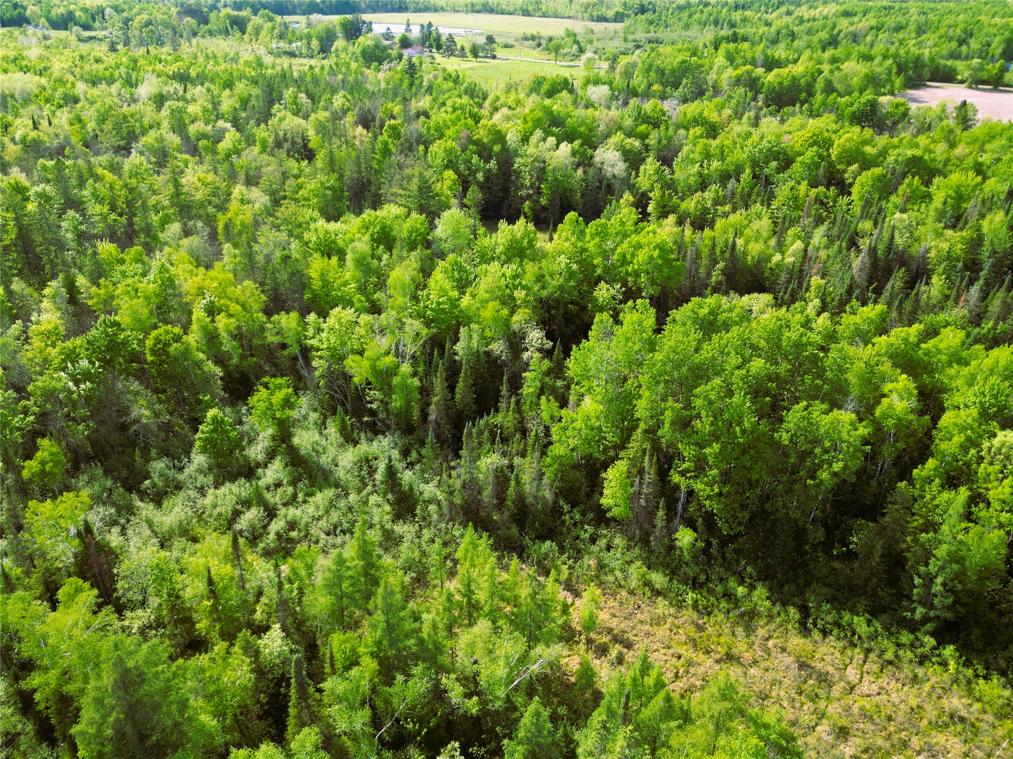 W9902 Flohr Road Ladysmith WI 54848 1601560 image45