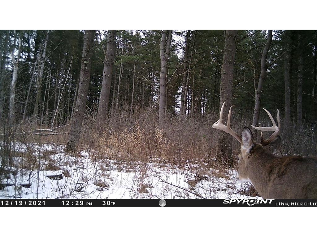 X County V Ridgeland WI 54763 1573419 image1