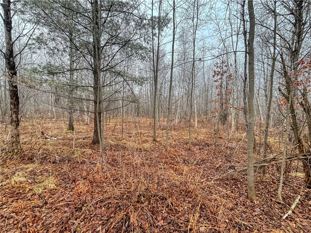 XX 13 1/2 Avenue Cameron WI 54822 1588543 image1