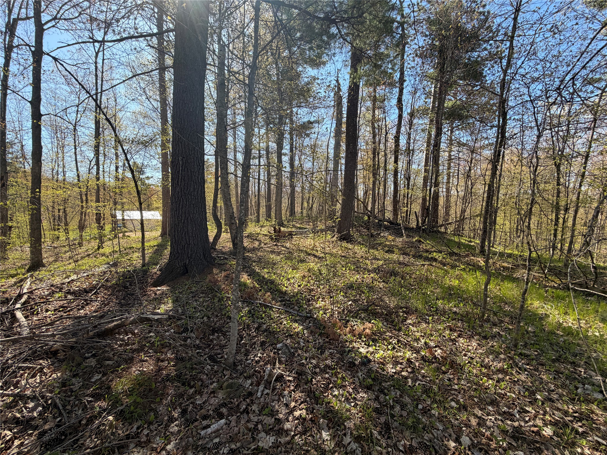 XX 28 3/8 Street Birchwood WI 54817 - Red Cedar 1600920 image6