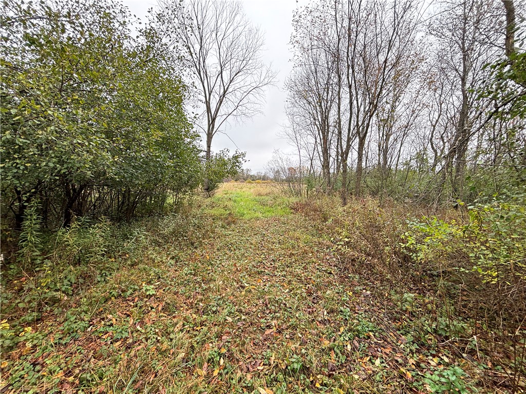 XX 4 1/2 Avenue Hillsdale WI 54733 - Pine 1596613 image10