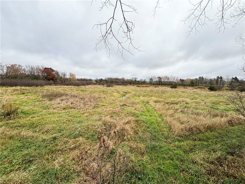 XX 4 1/2 Avenue Hillsdale WI 54733 - Pine 1596613 image11