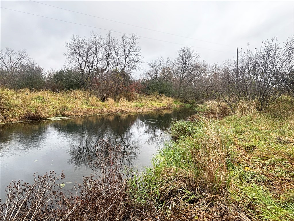 XX 4 1/2 Avenue Hillsdale WI 54733 - Pine 1596613 image7