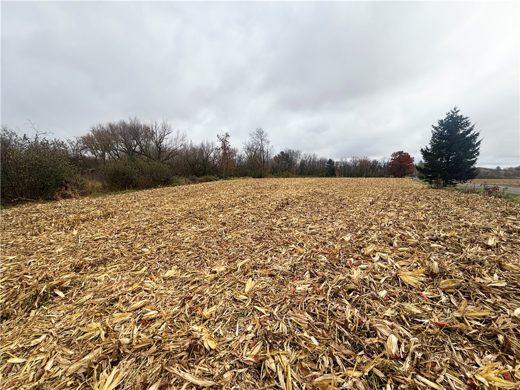 XX 4 1/2 Avenue Hillsdale WI 54733 - Pine 1596613 image8