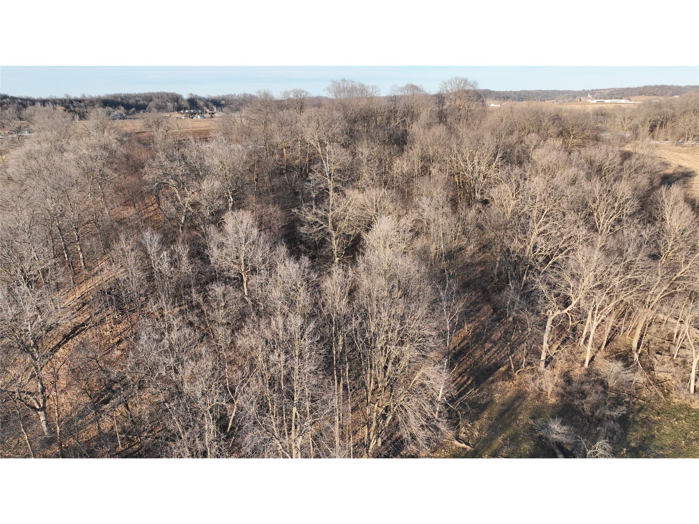 XX 860th Street Trimbelle WI 54014 - Spring Creek 1599053 image14
