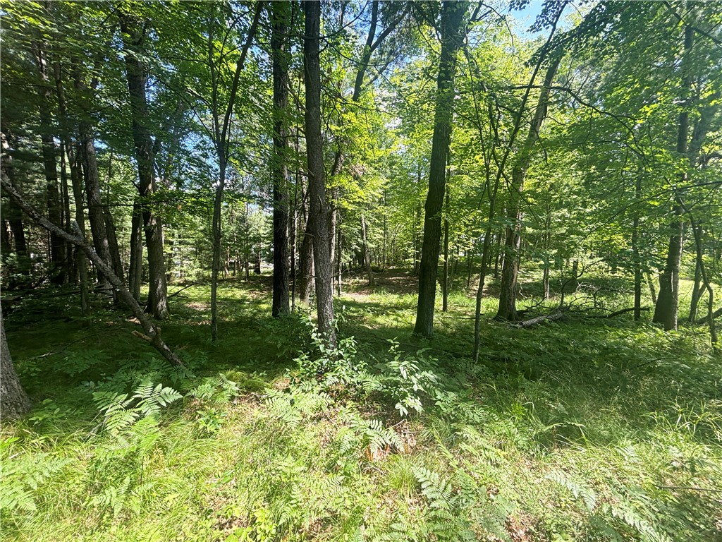 XX 9 3/4 Avenue Chetek WI 54728 - Pokegema 1593510 image5