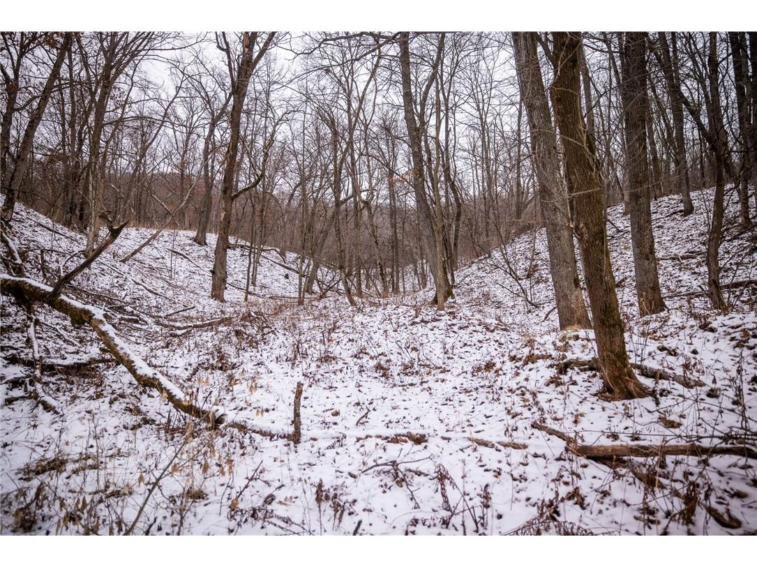 XX County Road S Alma WI 54610 1588287 image1