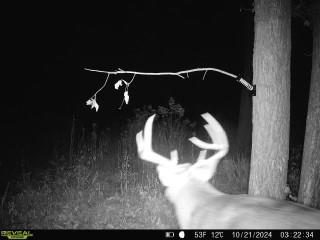 XX County Road W WI 54868 - Moose Ear Creek 1583367 image1