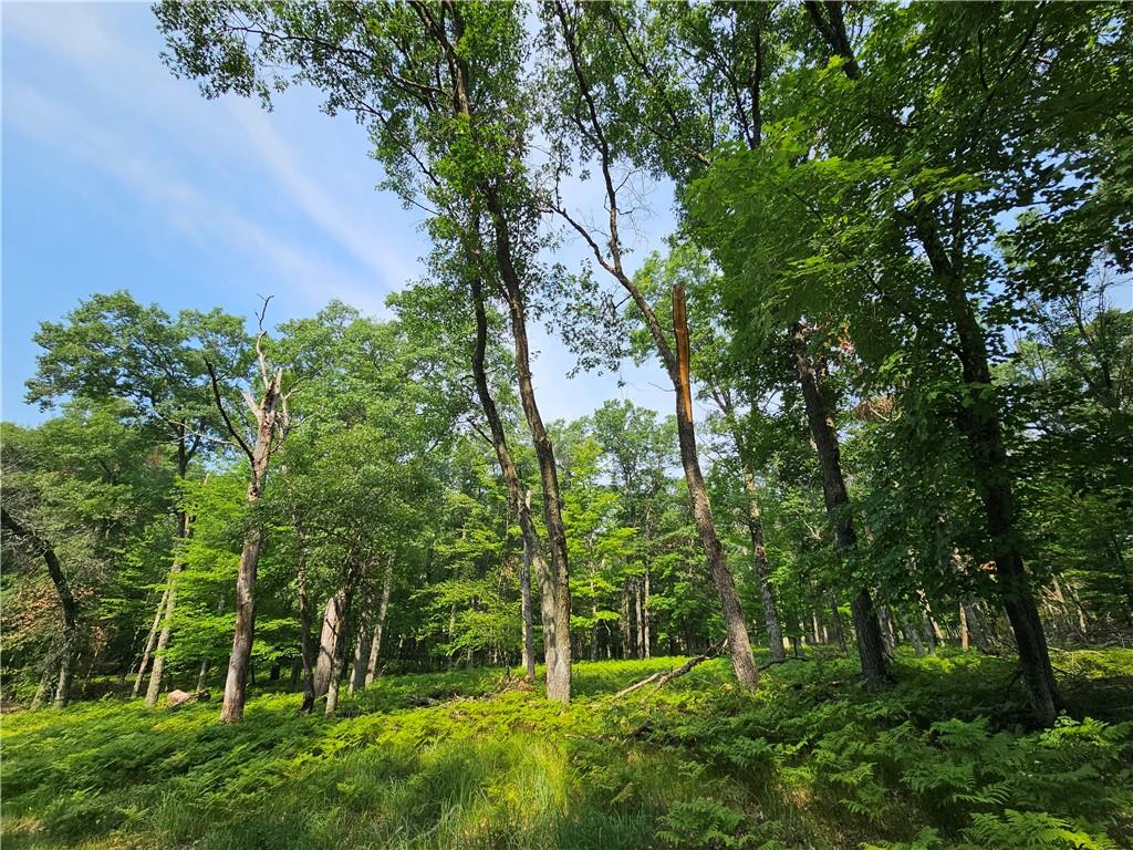 XX E Bass Lake Road Danbury WI 54830 1574548 image1