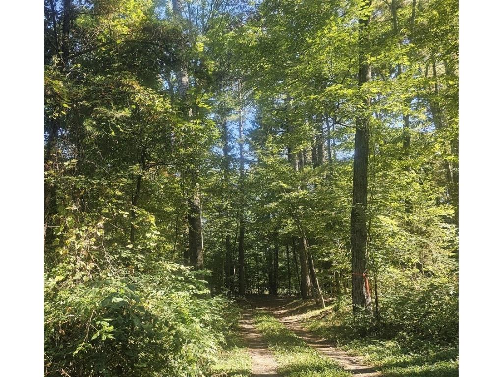 XX E Bass Lake Road Webster WI 54893 - Bass Lake 1596116 image3