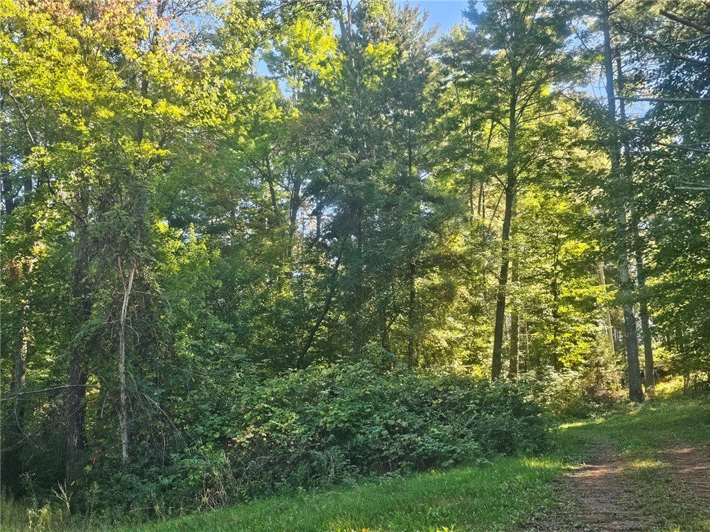 XX E Bass Lake Road Webster WI 54893 - Bass Lake 1596116 image6