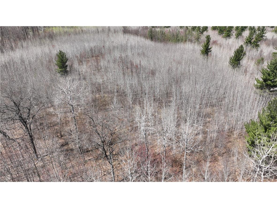 XX E Beauregard Lake Road Solon Springs WI 54873 1591470 image10