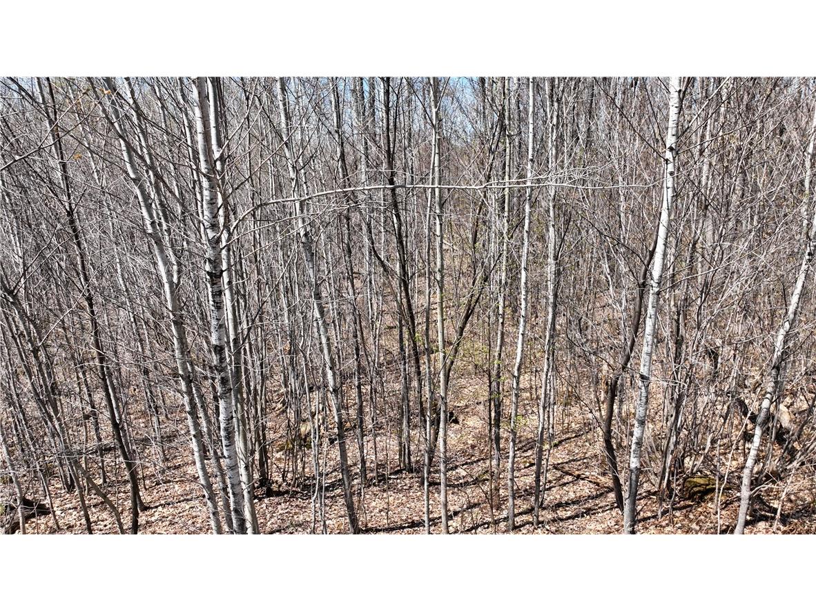 XX E Beauregard Lake Road Solon Springs WI 54873 1591470 image26