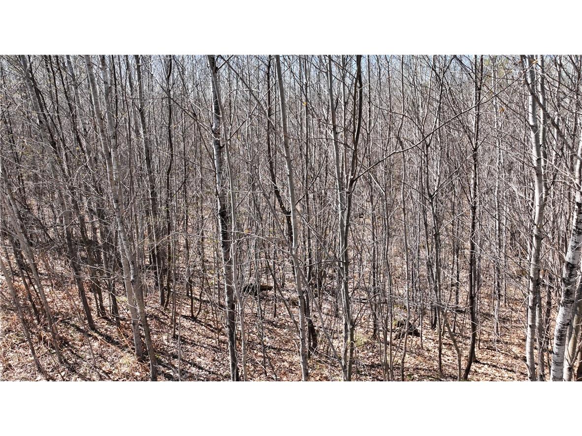 XX E Beauregard Lake Road Solon Springs WI 54873 1591470 image27