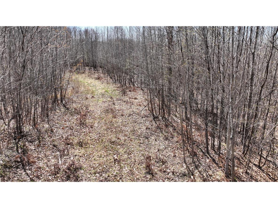 XX E Beauregard Lake Road Solon Springs WI 54873 1591470 image28