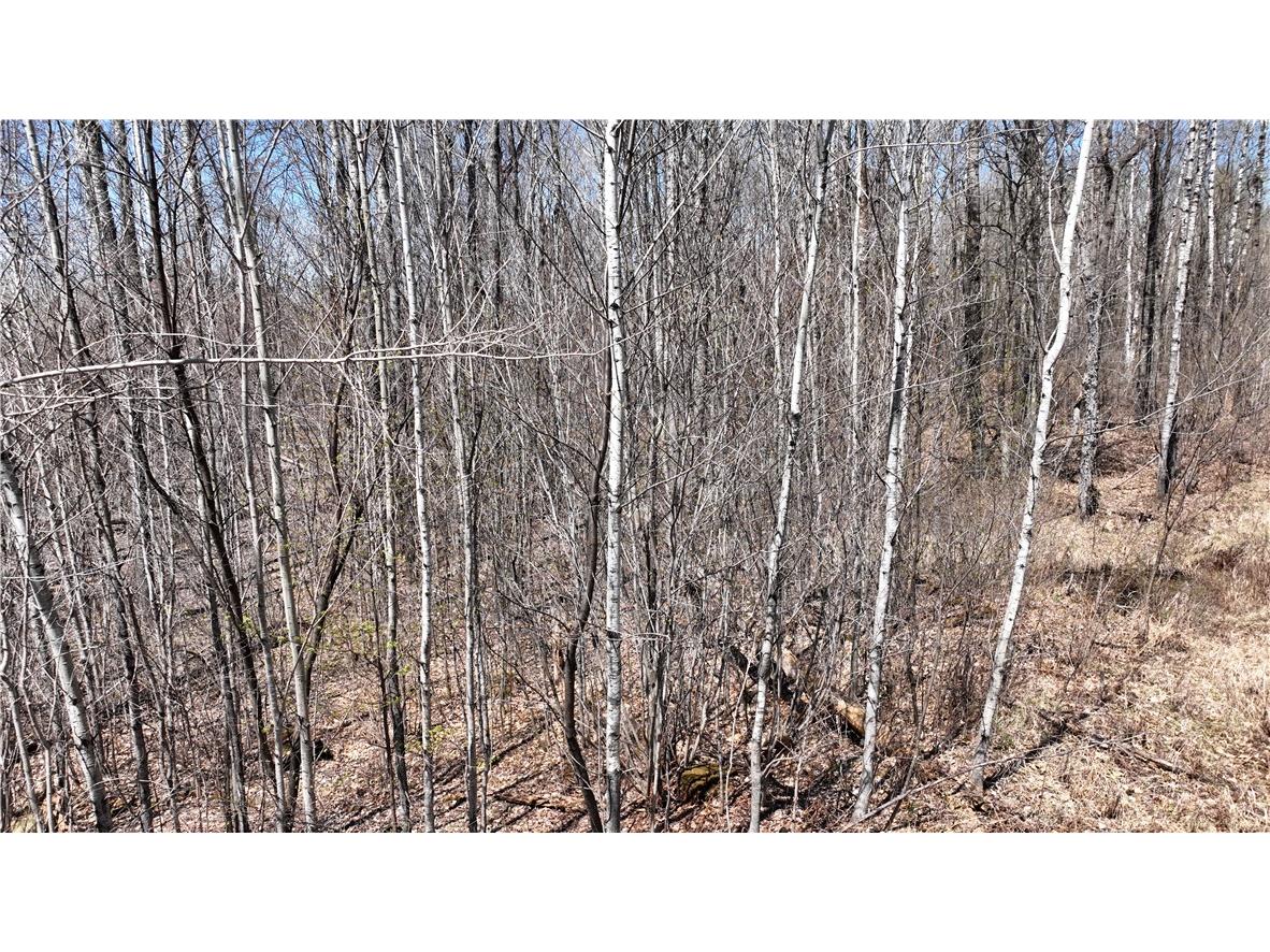 XX E Beauregard Lake Road Solon Springs WI 54873 1591470 image29