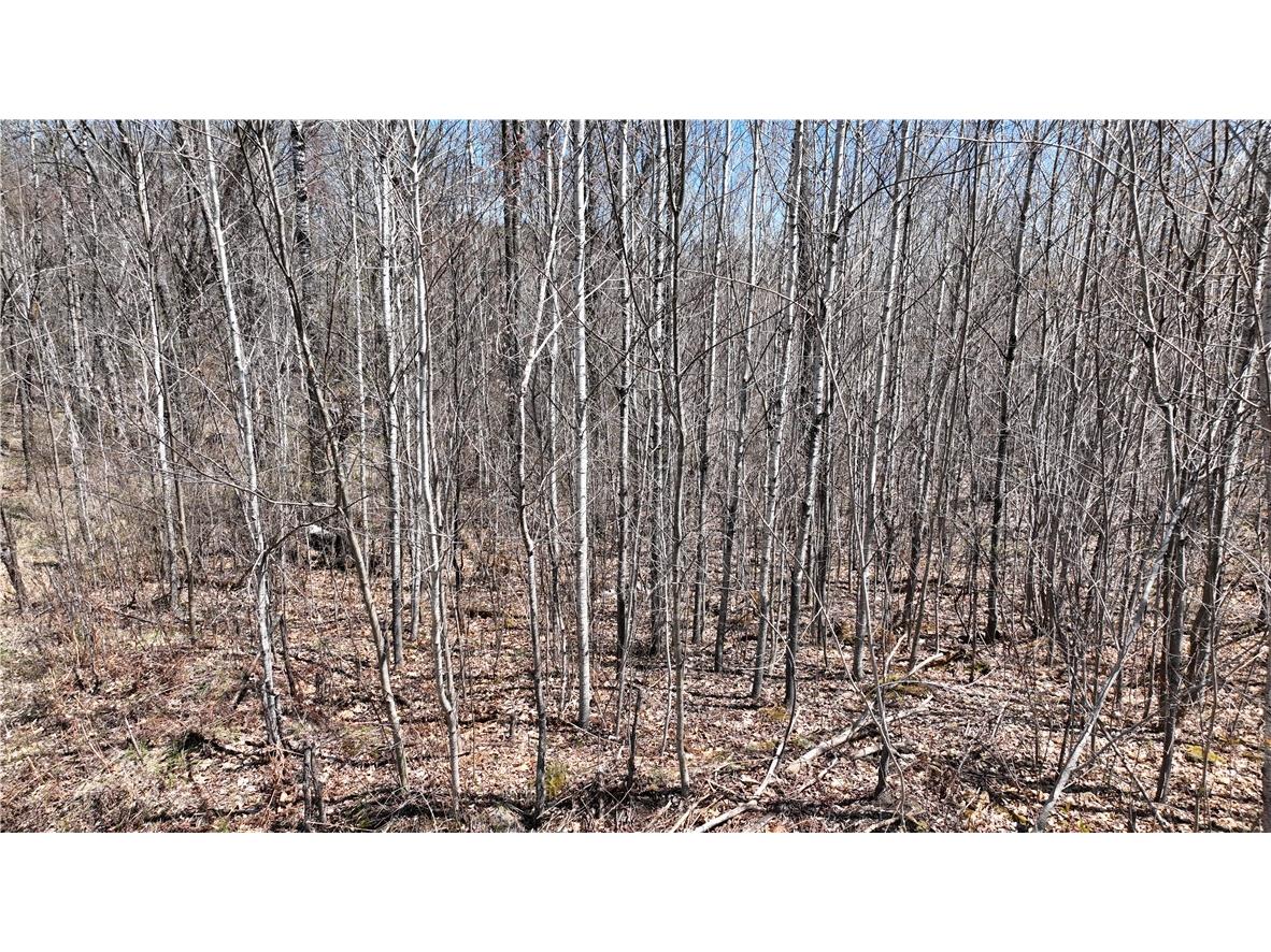 XX E Beauregard Lake Road Solon Springs WI 54873 1591470 image30