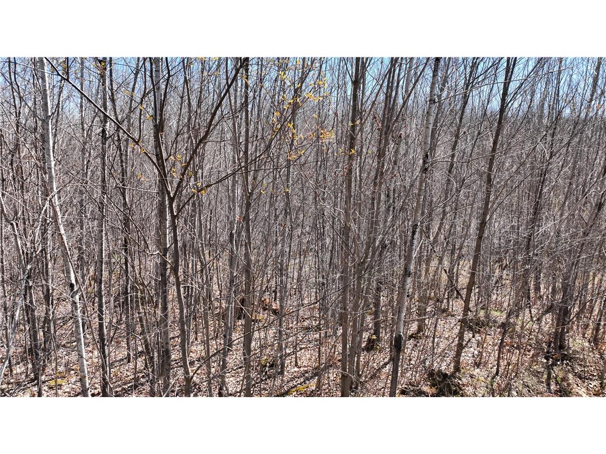 XX E Beauregard Lake Road Solon Springs WI 54873 1591470 image31