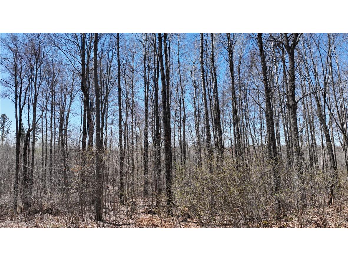 XX E Beauregard Lake Road Solon Springs WI 54873 1591470 image32