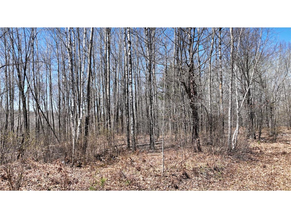 XX E Beauregard Lake Road Solon Springs WI 54873 1591470 image33