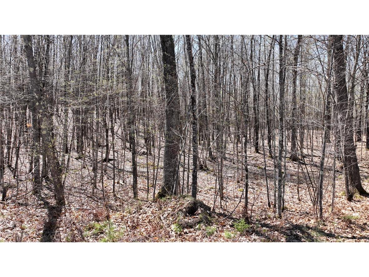 XX E Beauregard Lake Road Solon Springs WI 54873 1591470 image34