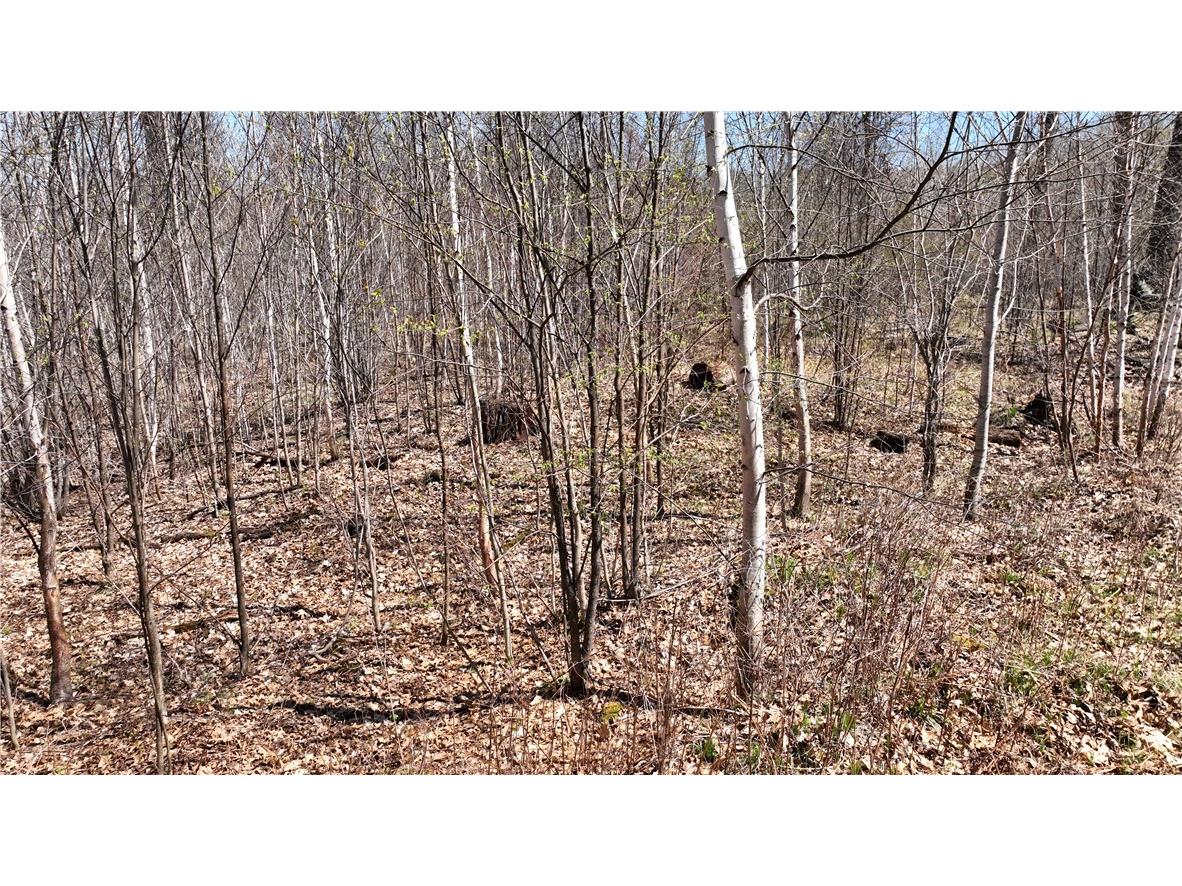 XX E Beauregard Lake Road Solon Springs WI 54873 1591470 image35