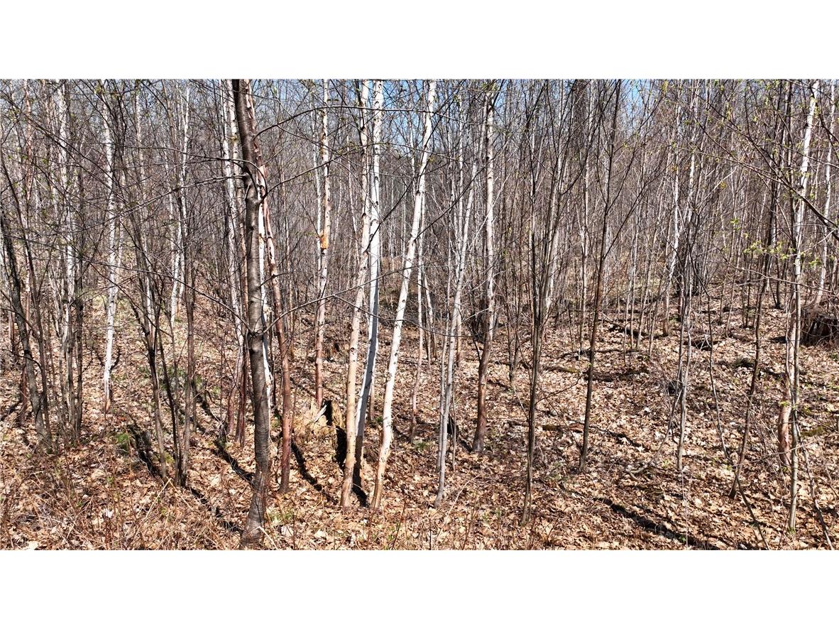 XX E Beauregard Lake Road Solon Springs WI 54873 1591470 image36