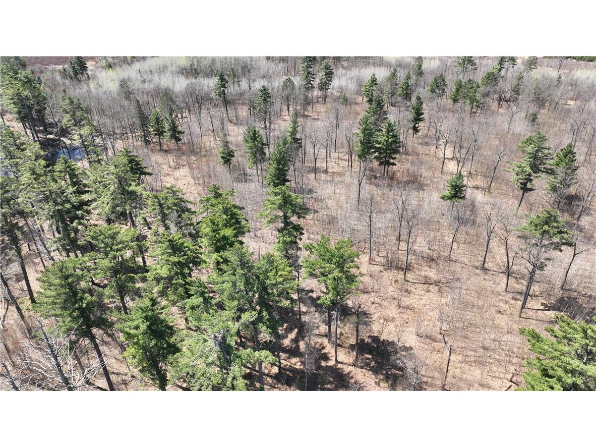 XX E Beauregard Lake Road Solon Springs WI 54873 1591470 image38