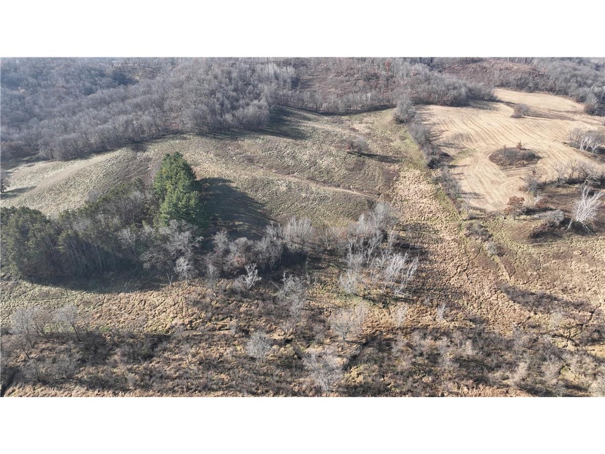 XX Folkman Blair WI 54616 1587373 image11