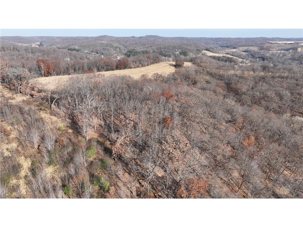 XX Folkman Blair WI 54616 1587373 image14