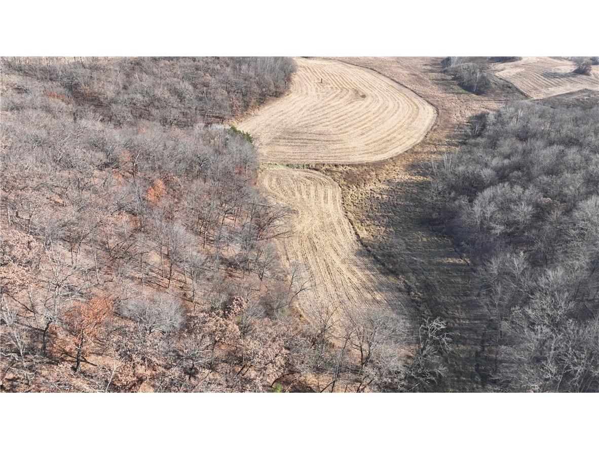 XX Folkman Blair WI 54616 1587373 image15