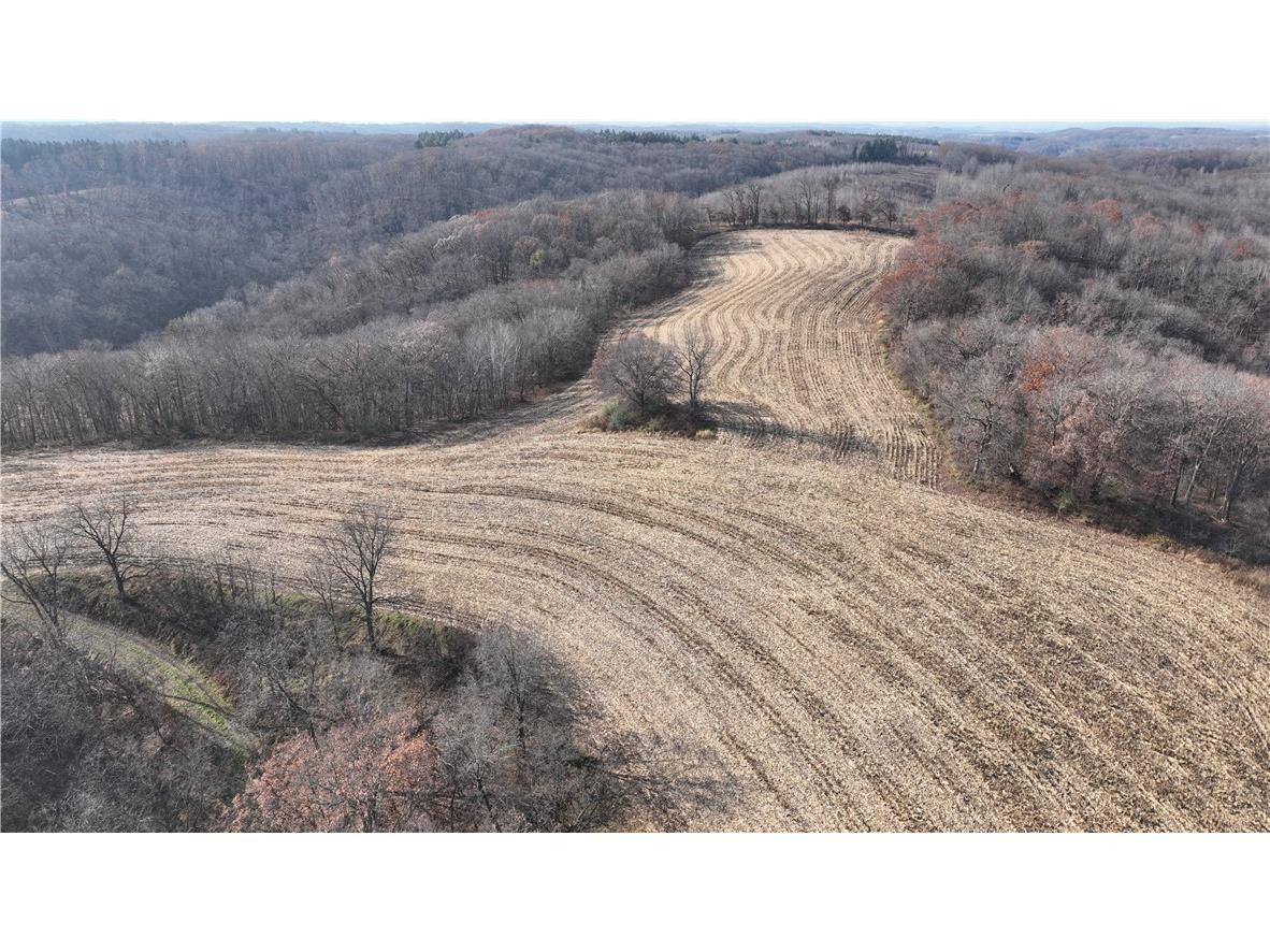 XX Folkman Blair WI 54616 1587373 image16